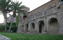 Museo del Mare - Pioppi